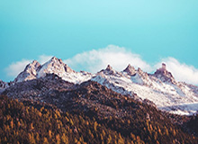 2026世界杯赛事直播平台入口-纵相俱乐部 | 冬残奥惊现意式拎壶冲